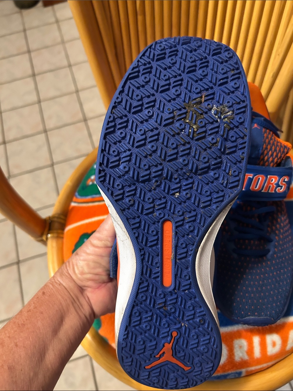 Florida gators - Picture 5 of 9